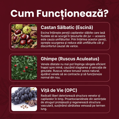 Venocalmin Activ Gel – Gel pentru Varice și Picioare Obosite